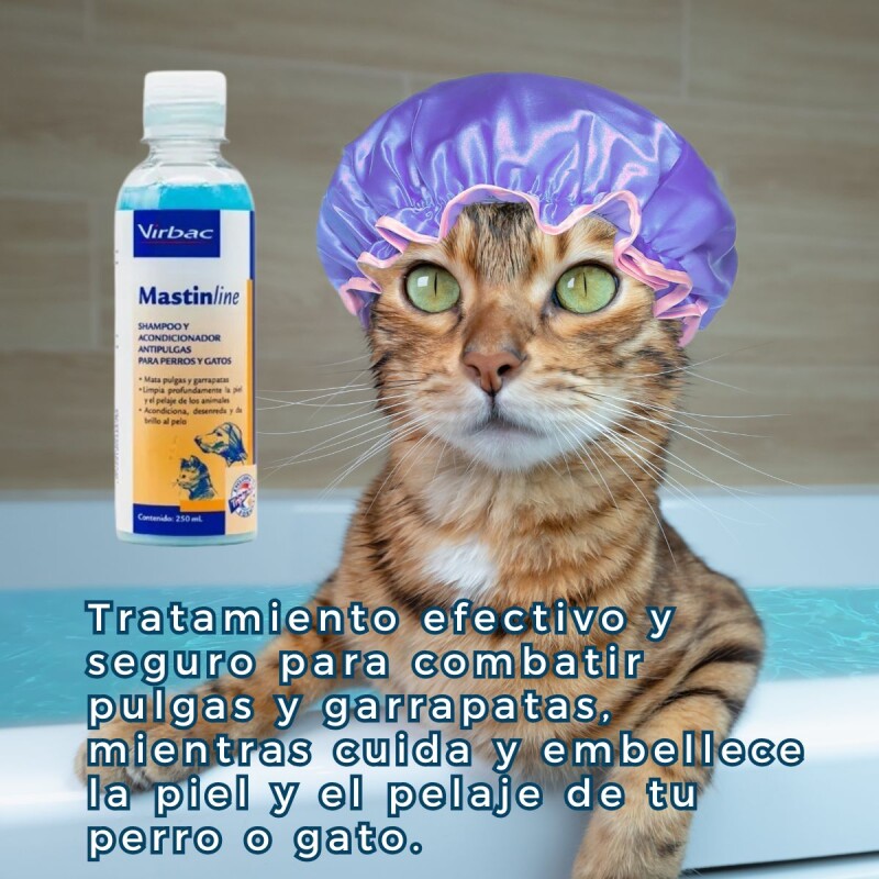 SHAMPOO Y ACONDICIONADOR MASTIN LINE ANTIPULGAS Y GARRAPATAS SHAMPOO Y ACONDICIONADOR MASTIN LINE ANTIPULGAS Y GARRAPATAS
