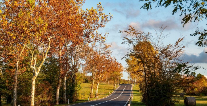 Soriano Autocentro: tu aliado para el mantenimiento de otoño