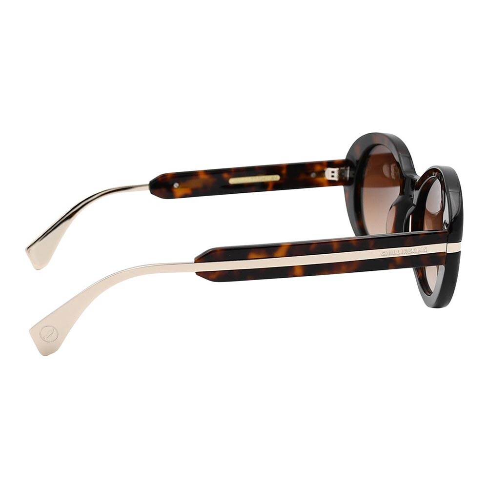 Lentes de sol De Acetato Redondo Premium Gradiente Marón/Tortuga