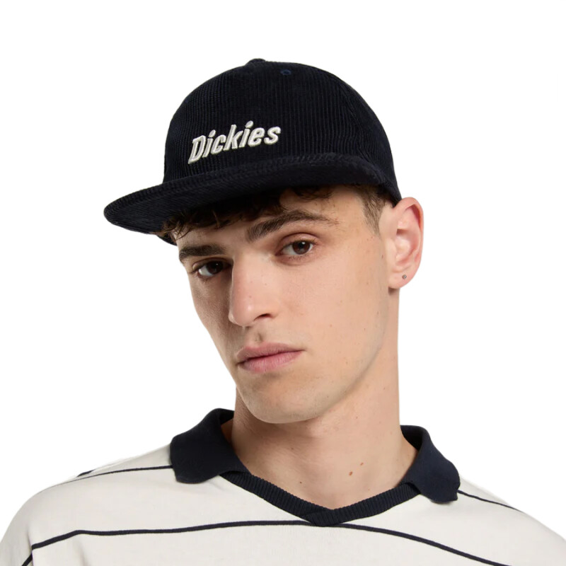 Gorra Dickies Williston - Multicolor Gorra Dickies Williston - Multicolor