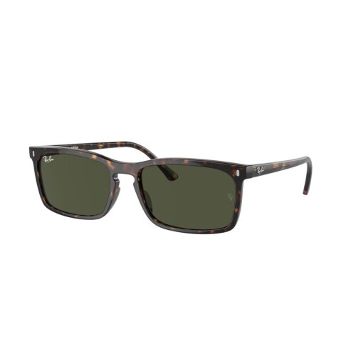 Ray Ban Rb4435 902/31