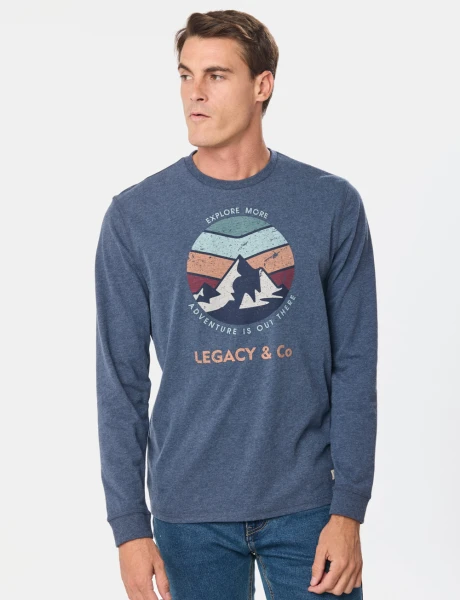 REMERA ESTAMPADA Azul