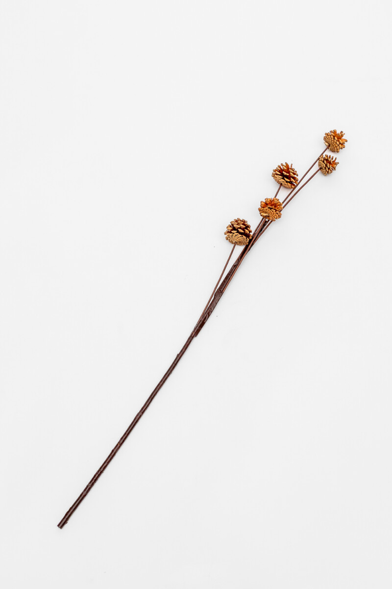 Deco Floral Conos De Pino - Color Unico 