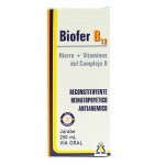 BIOFER B12 JARABE FRASCO X 250 ML. única