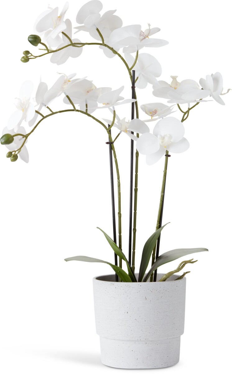 Planta artificial MATINUS A62cm flores 