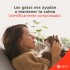 PROTECH PIPETA ANTIPULGAS CON ACCIÓN AMBIENTAL PARA GATOS HASTA 5 KG