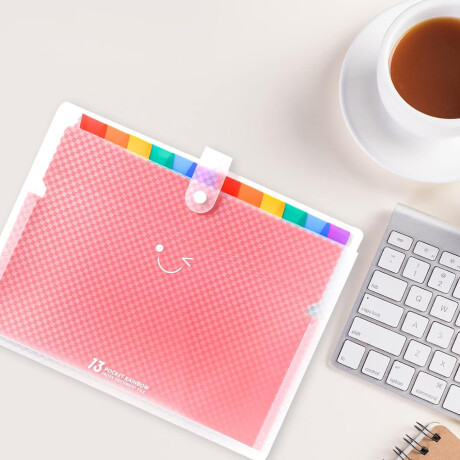 Carpeta A4 con 13 compartimentos y separadores Sc