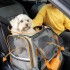 Bolso Transportador Mascota Bolsillos Gatos Perros Viajes Bolso Transportador Mascota Bolsillos Gatos Perros Viajes