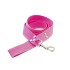 CORREA PERRO ENGANCHE MOSQUETON 1.20 M X 3.5 CM ROSA