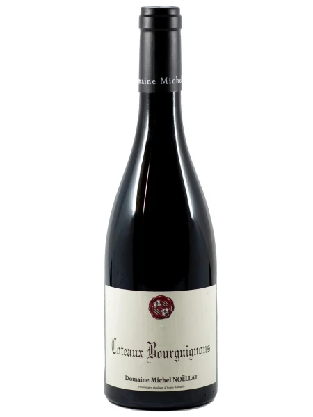 Coteaun Bourguignons Michel Noellat Coteaun Bourguignons Michel Noellat