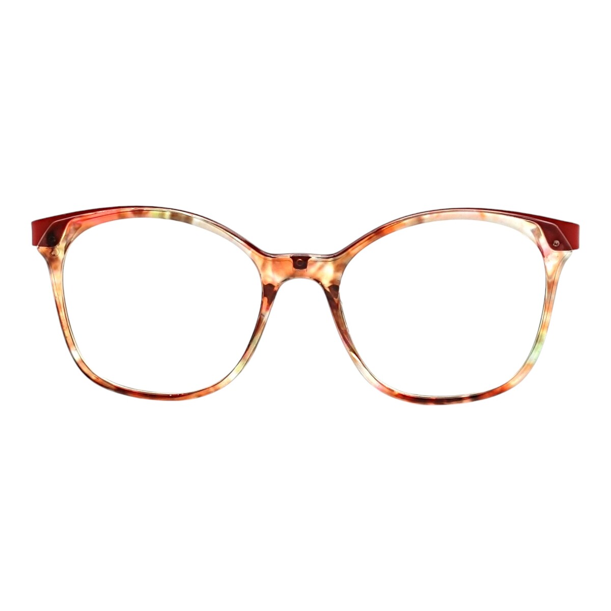 EJ300454 - careymulticolor 