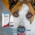 OCUBIOTIC COLIRIO ANTIBIÓTICO SIN ESTEROIDES 5 ML OCUBIOTIC COLIRIO ANTIBIÓTICO SIN ESTEROIDES 5 ML