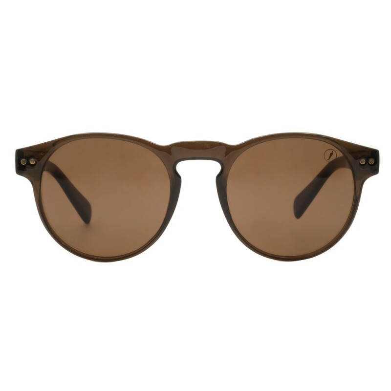 Lentes de Sol Chilli Beans Alaska Unisex Marrón