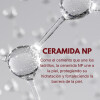 PACK Antiage de Colágeno Coreano PACK Antiage de Colágeno Coreano