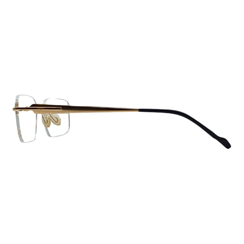 DM111639 doradouniforme