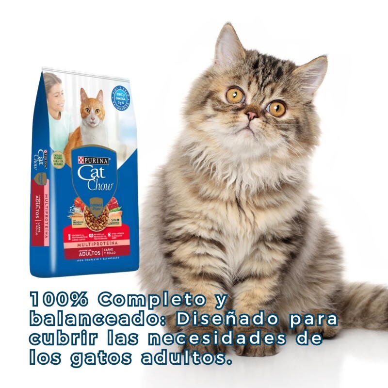 CAT CHOW GATOS ADULTOS CARNE Y POLLO 3 KG