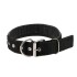 Collar Ajustable Reforzado Hebilla Nylon Perro Gato Mediano Variante Color Negro