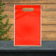 Bolsas de Nylon Colores Lisos x10 Rojo