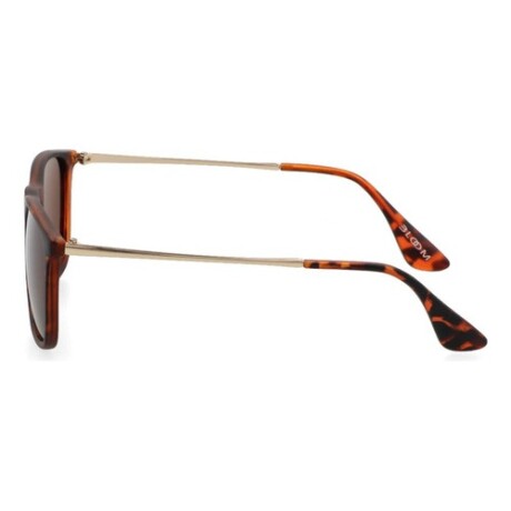 Lentes de sol polarizados Bloom protección UV400 Marrón