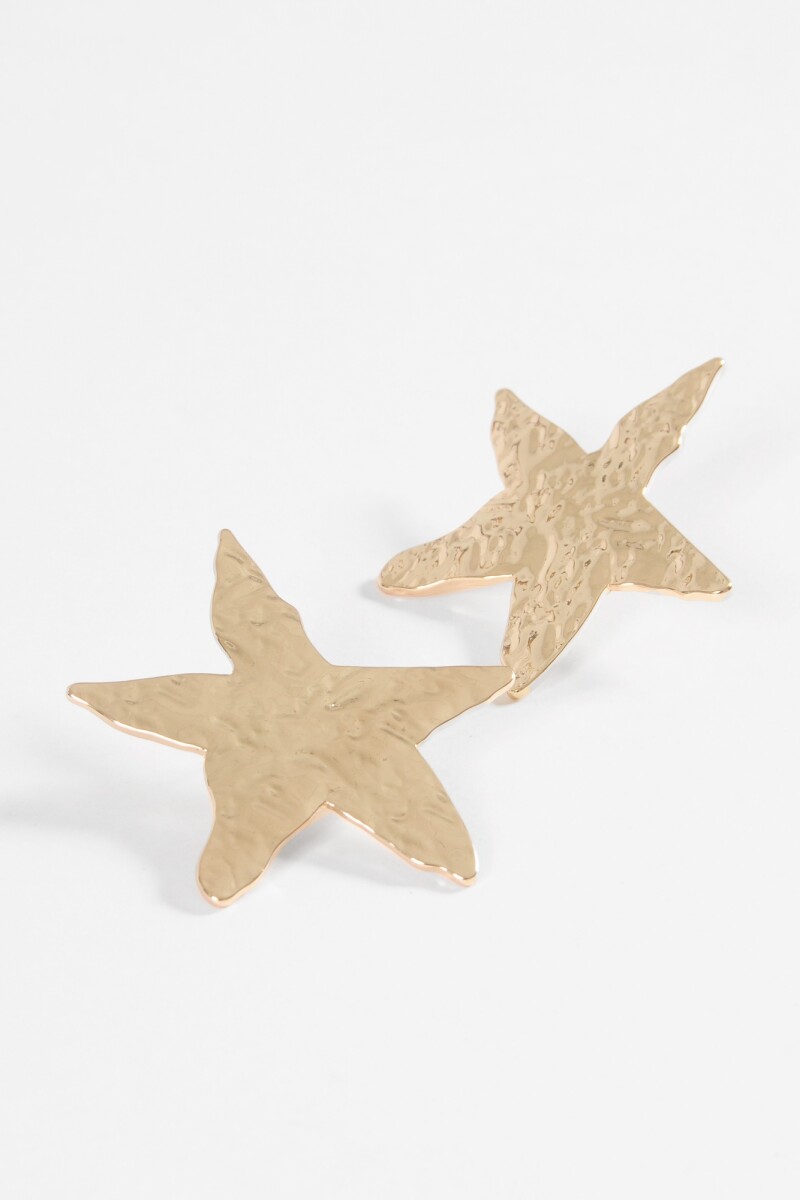 Caravanas texture estrella dorado