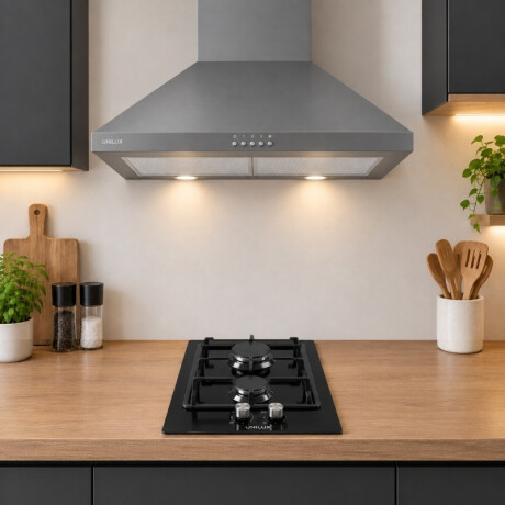 Campana Extractora Aeris 60CM Acero Inoxidable Pack De Campana Extractora Aeris 60CM + Anafe A Gas Vulcano Duo 2 Negro