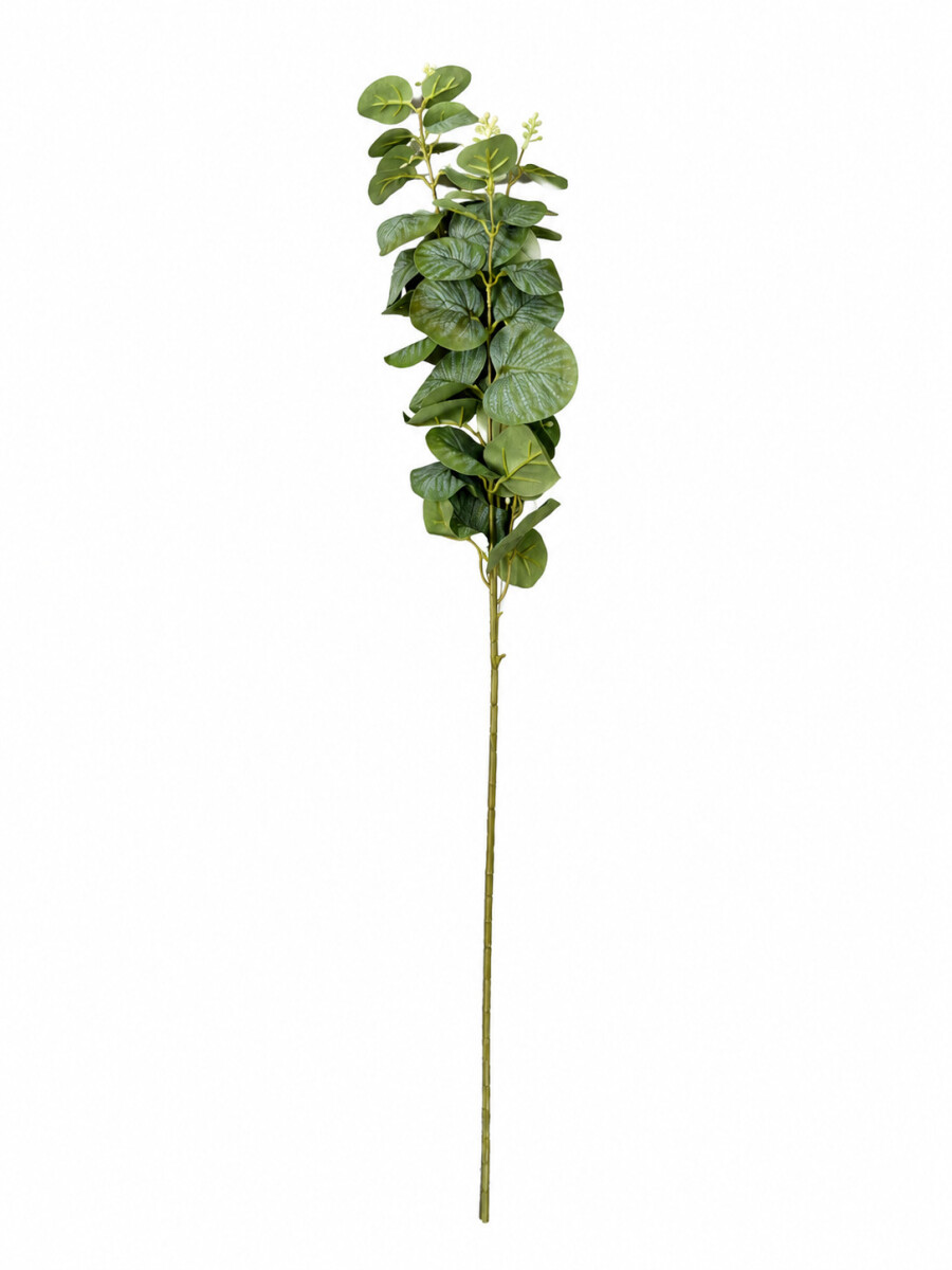 PLANTA - VERDE 