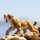 Safari Ltd. 279729 - Smilodón Safari Ltd. 279729 - Smilodón