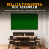 Cerco Artificial Pasto Panel Jardin X10 Un Treboles Pared Ax Cerco Artificial Pasto Panel Jardin X10 Un Treboles Pared Ax