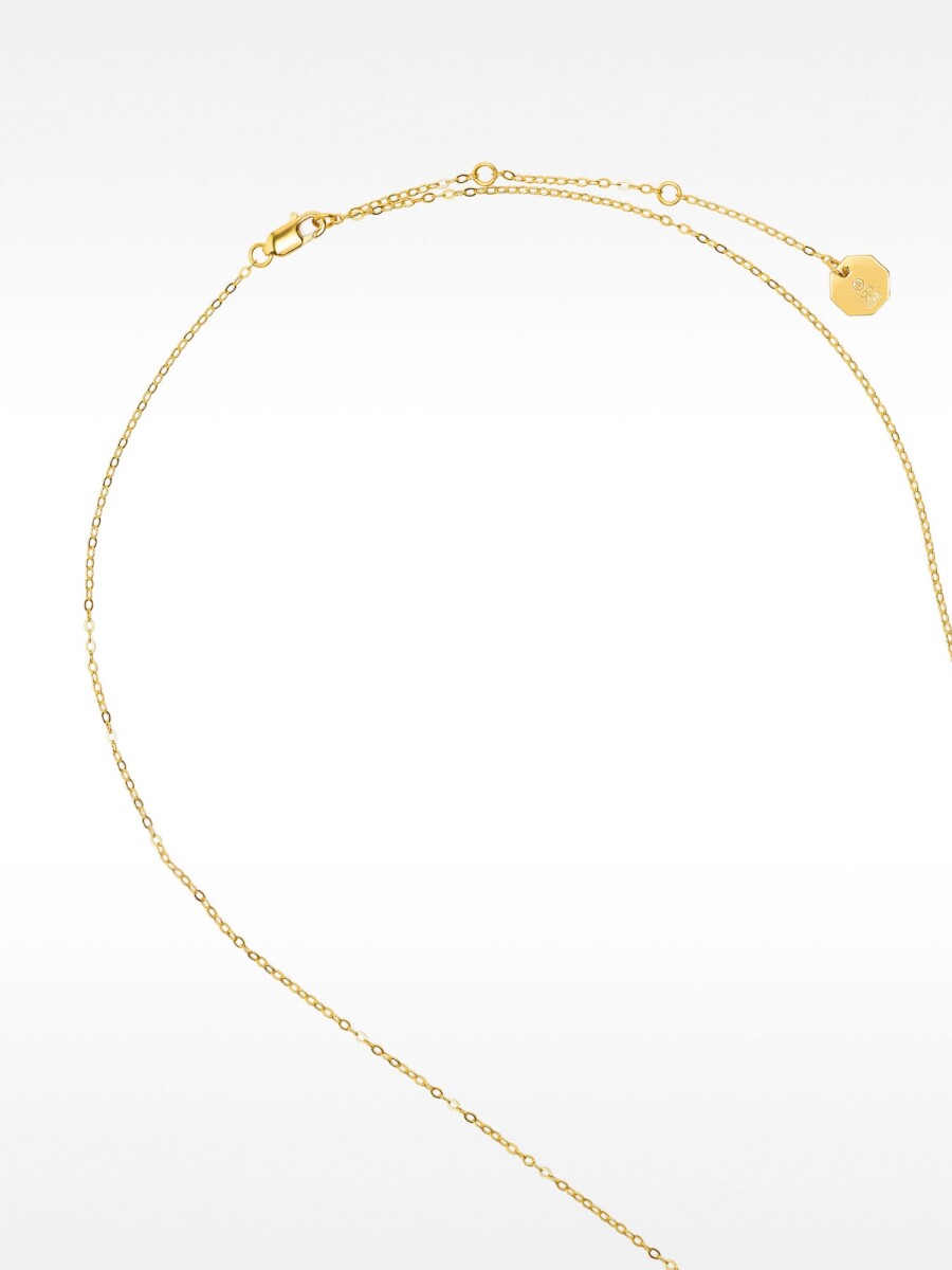 Collar Con Medalla - Plata De Ley 925 dorado