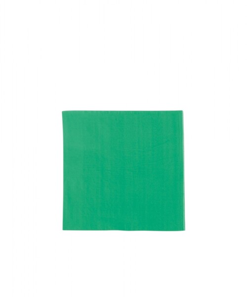 Servilleta 16x16 cm. paquete x 20 VERDE AGUA
