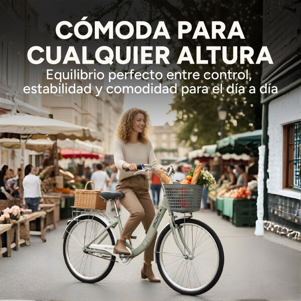 Bicicleta BDF Paseo Urbana Rodado 26 " Canasto Freno V-Brake Gris 1