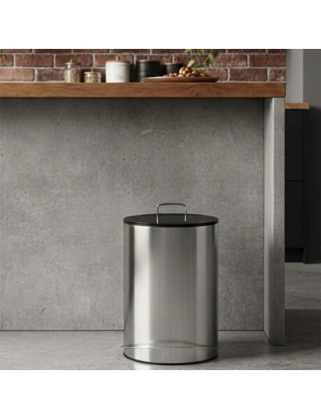 PAPELERA 5LTS, ACERO CON PEDAL Y TAPA PLASTICA PAPELERA 5LTS, ACERO CON PEDAL Y TAPA PLASTICA