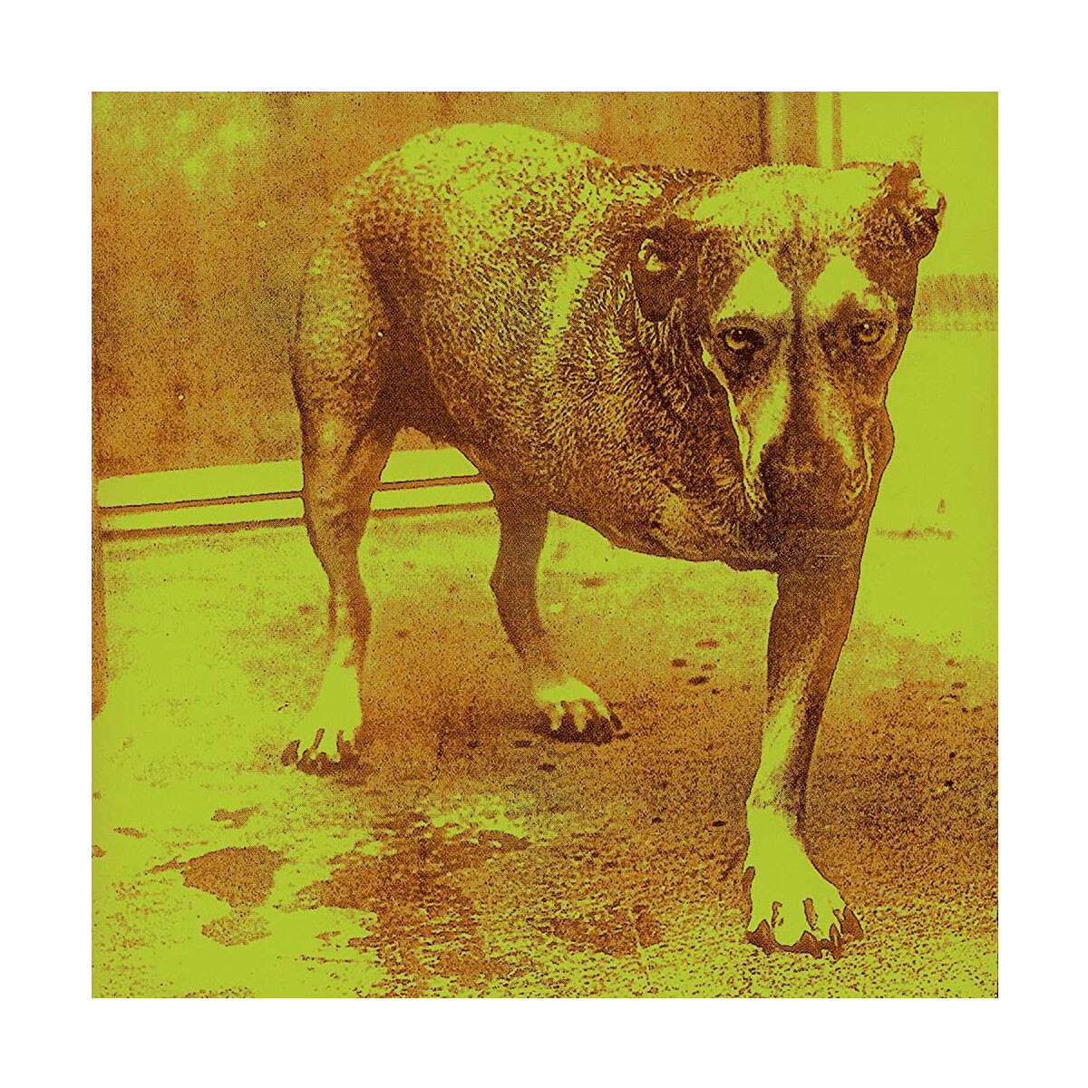 Alice In Chains-alice In Chains - Cd 