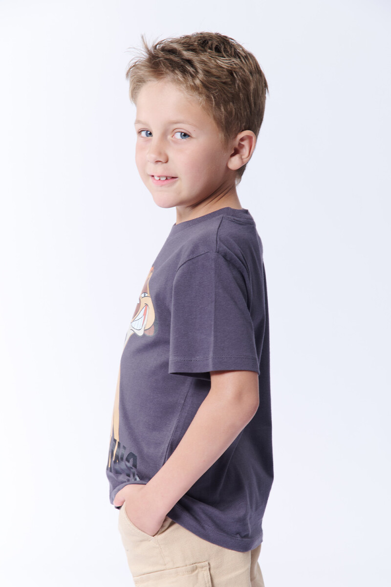 Remera Algodón Timon Gris