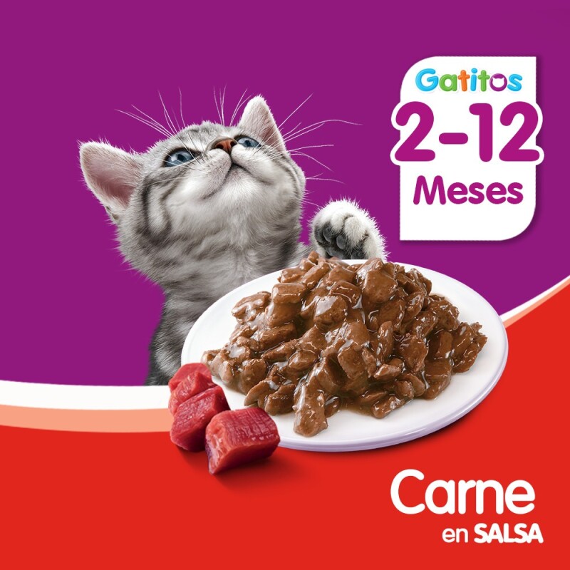 WHISKAS EN SALSA CARNE GATITOS ALIMENTO HUMEDO 85 GRS
