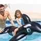 INTEX INFLABLE ORCA BALLENA NIÑOS PLAYA PISCINA Intex Inflable Orca Ballena Niños Playa Piscina