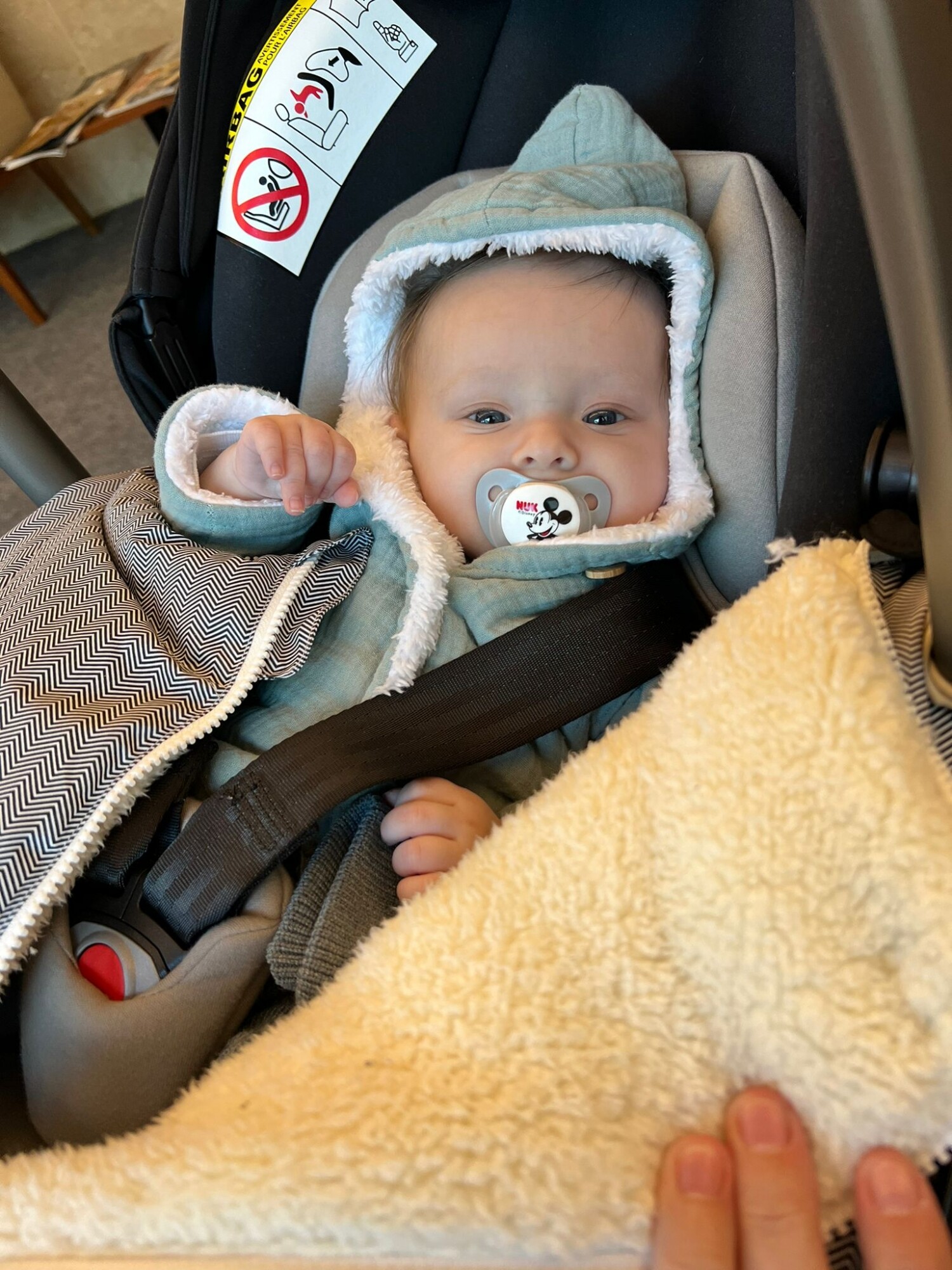 Funda polar para huevito de auto Beig — Rumba