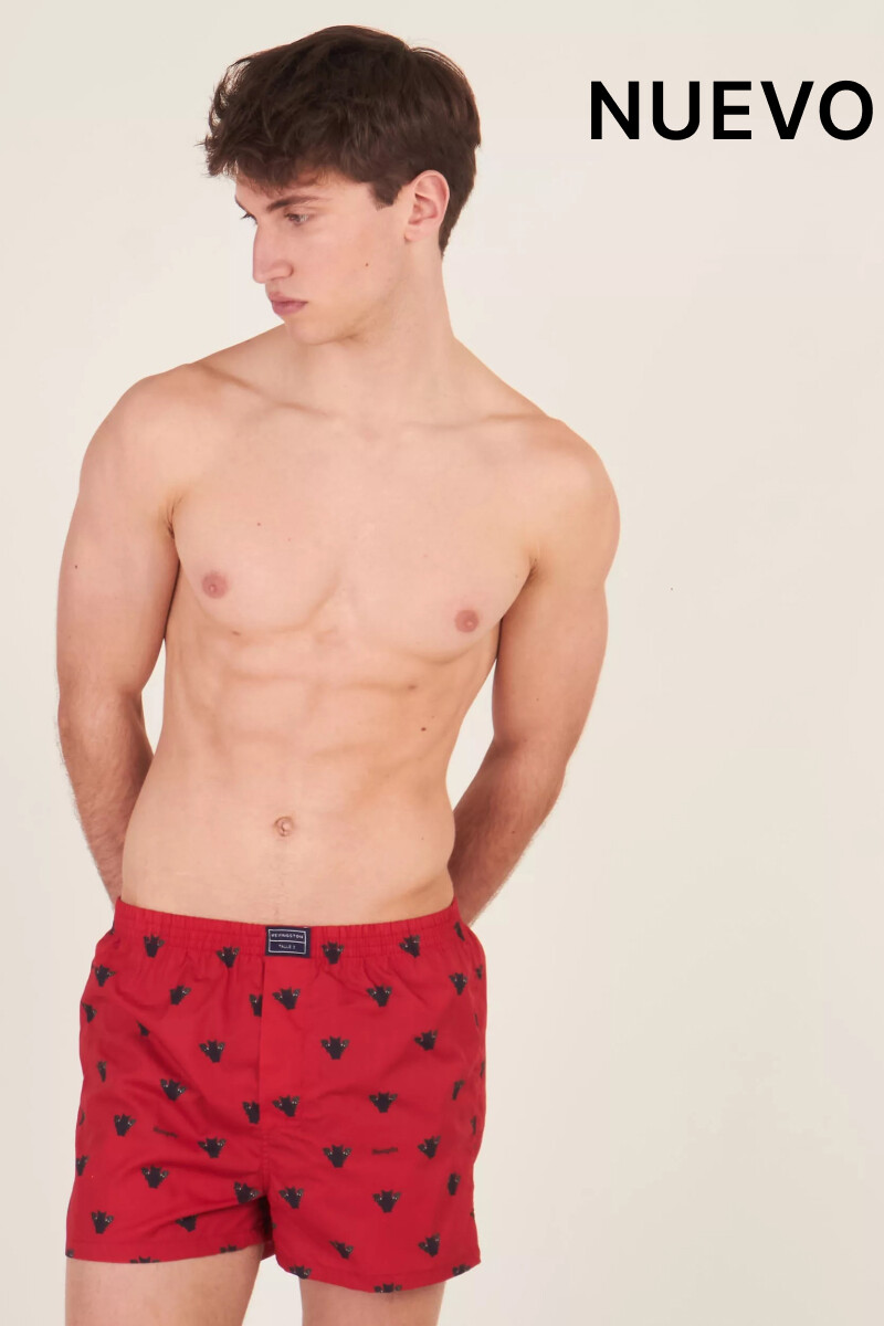 Bóxer Kevingston DAC