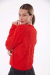 BUZO FAVRA ROJO