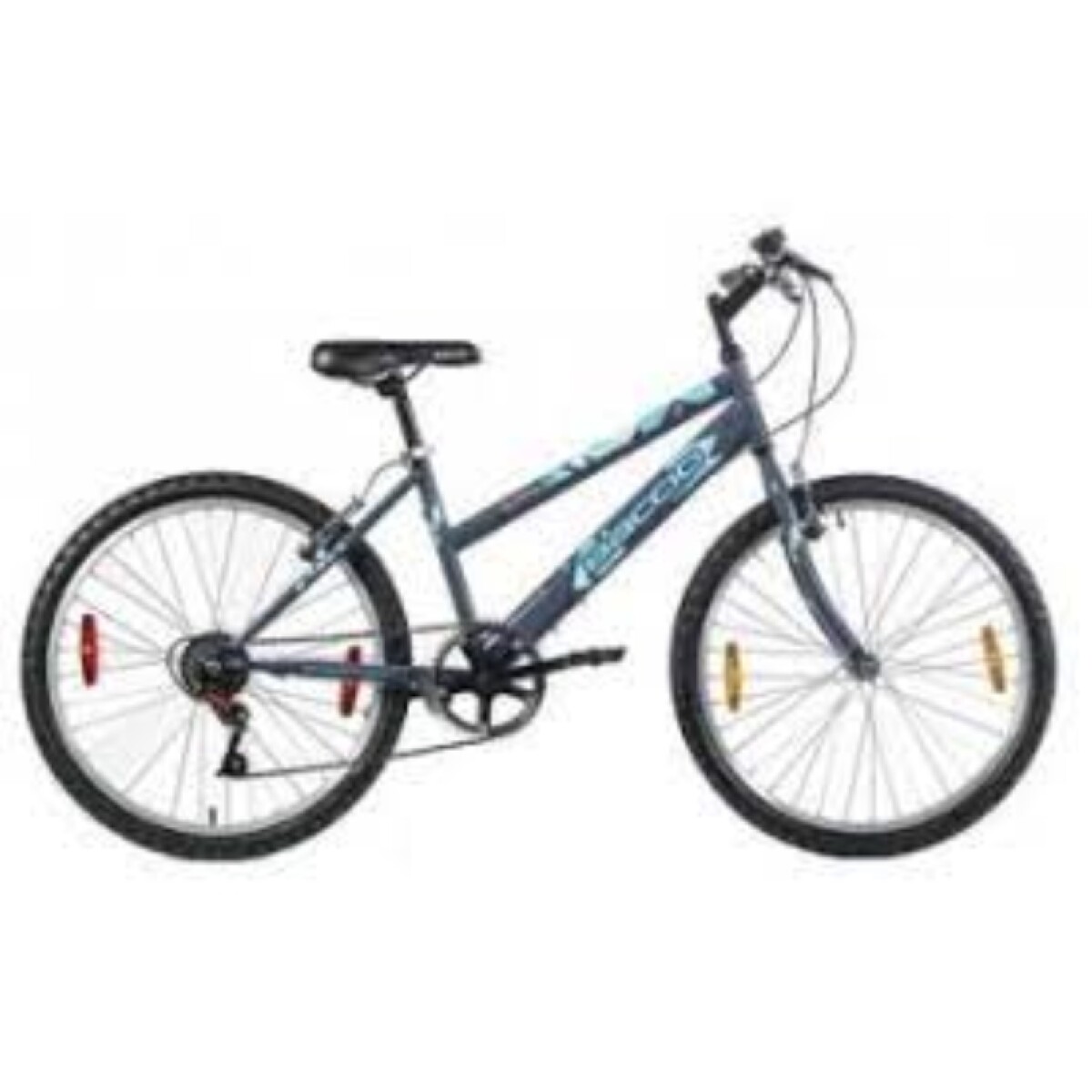 Bicicleta Baccio R.24 Niña Mtb Alpina - Gris/turquesa 