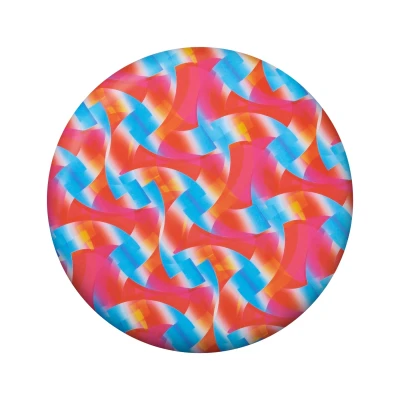 Frisbee Wingman Pro Waboba Endless Summer