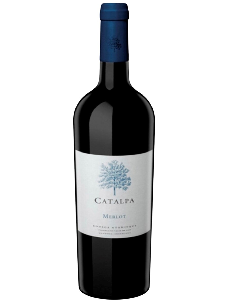 Catalpa Merlot 