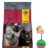 THREE CATS CASTRADOS 10,1 KILOS + RATÓN EQUILIBRISTA DE REGALO