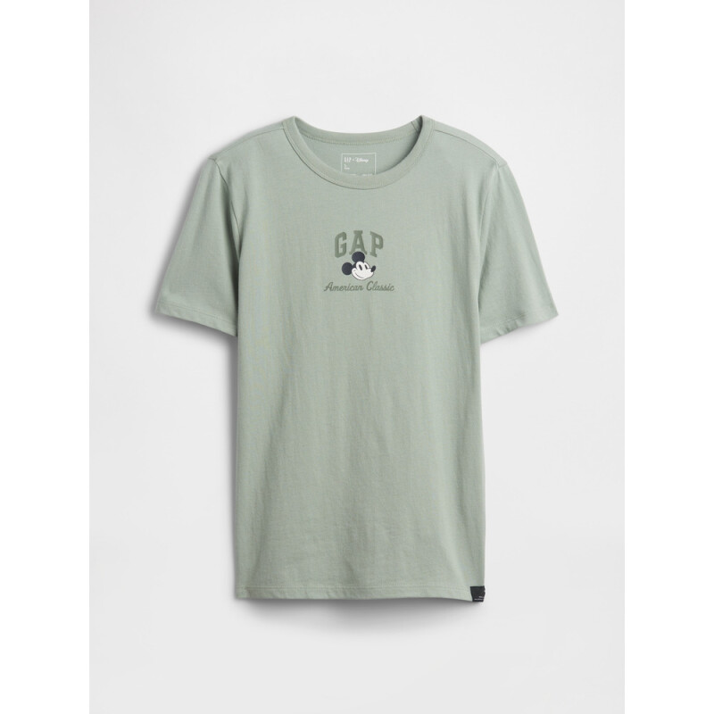 V-DISLOGO SPRING SS LIC GR SP DIS FAM ICEBURG