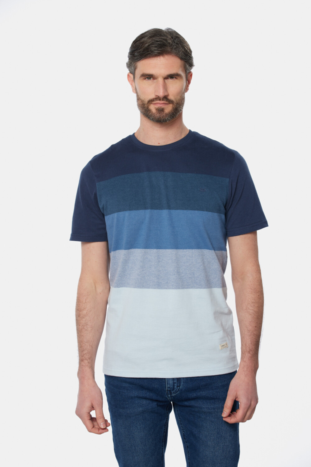 REMERA RAYADA Azul