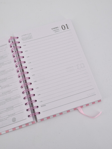 AGENDA GOOD DAY 2027 ROSA CHICLE