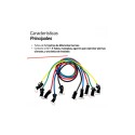 SET BANDAS ELASTICAS DE RESISTENCIA TUBO CON BOLSO MULTICOLOR