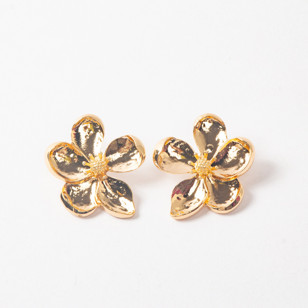 CARAVANAS GUANAJUATO DORADAS 