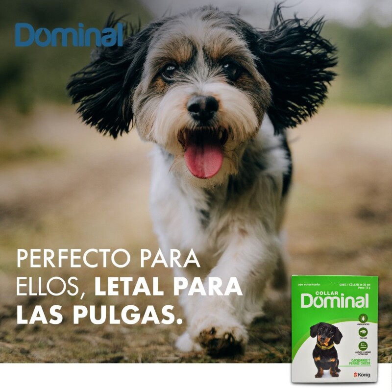 DOMINAL COLLAR ANTIPULGAS Y GARRAPATAS PERROS CHICOS CACHORROS O PEQUEÑOS 36 CM DE LARGO