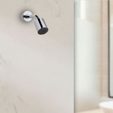 Roseta y brazo articulada cromada 000